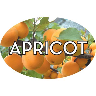 Apricot Label
